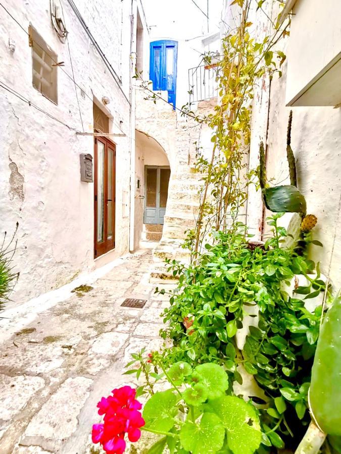 White Stone- La Terrazza Villa ออสตูนี ภายนอก รูปภาพ